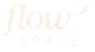 The Flow Space