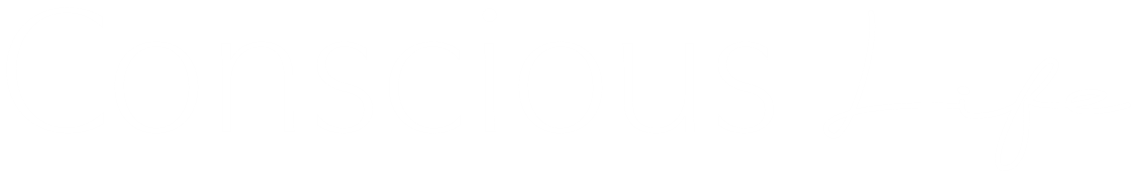 Conscious Life Festival