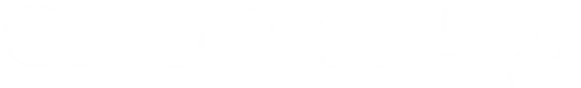 Conscious Life Festival